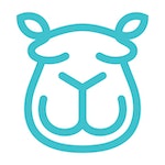 Content Camel logo